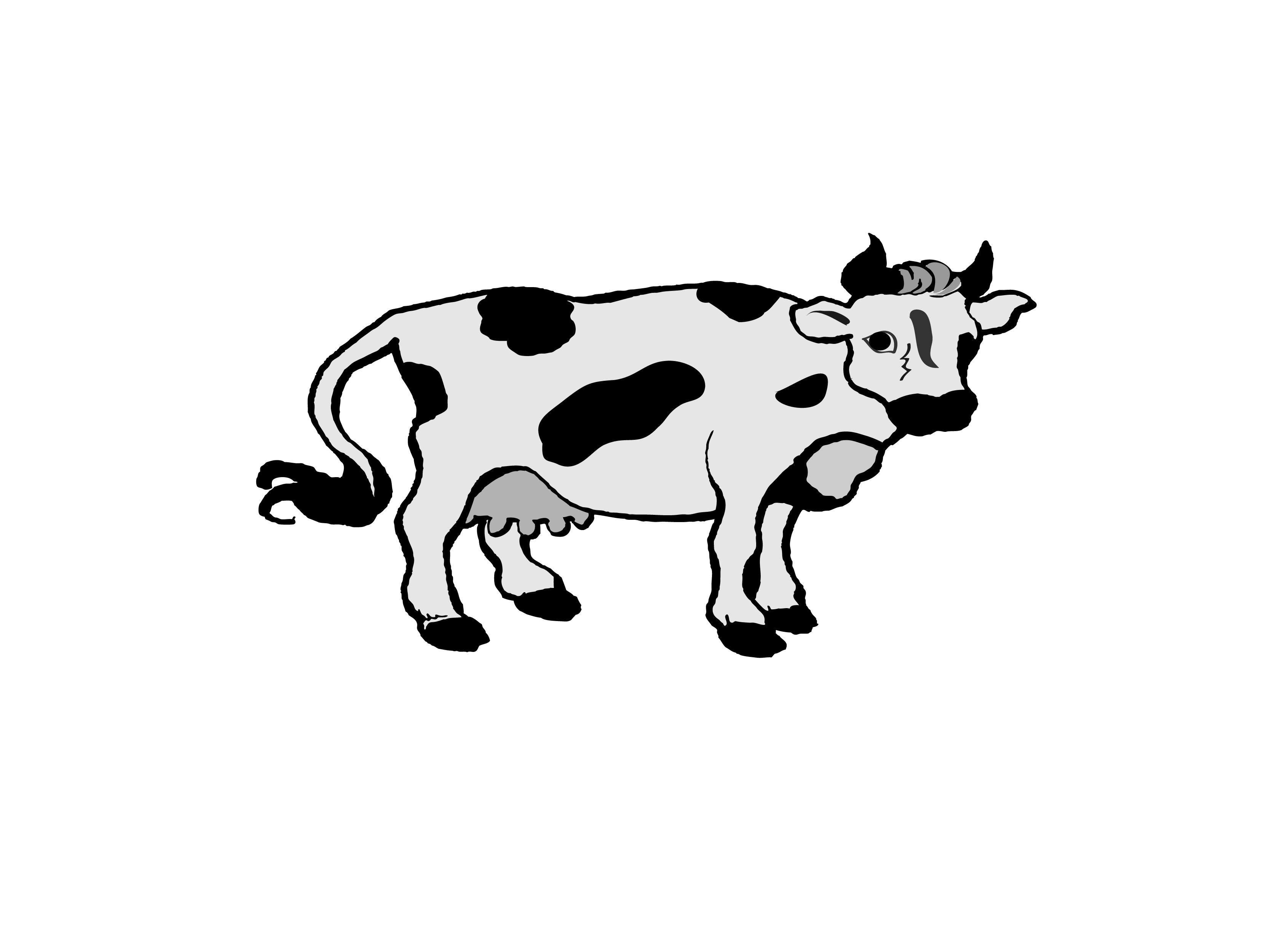 Domestic Animals in Tamil